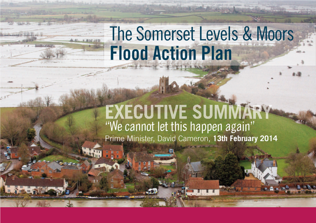 The Somerset Levels & Moors Flood Action Plan