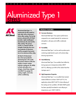 Aluminized Type 1 STEELS