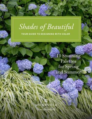 Shades of Beautiful YOUR GUIDE to DESIGNING with COLOR