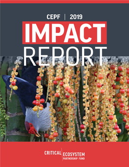 CEPF Impact Report