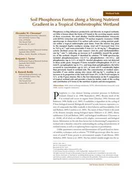 Soil Phosphorus Forms Along a Strong Nutrient Gradient in a Tropical Ombrotrophic Wetland