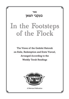 In the Footsteps of the Flock by Yirmiyahu Cohen