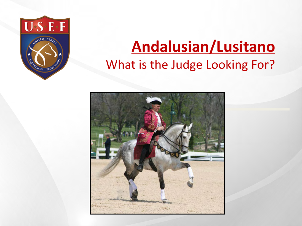 Andalusian/Lusitano What Is the Judge Looking For? General Qualifications • Horses Must Be Serviceably Sound, Show No Signs of Lameness and Be in Good Condition