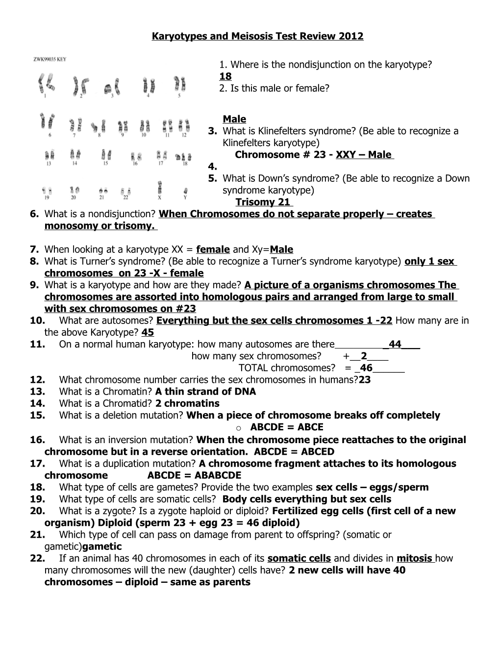 Mitosis, Meiosis, Chromosomes and DNA Replication Test s1