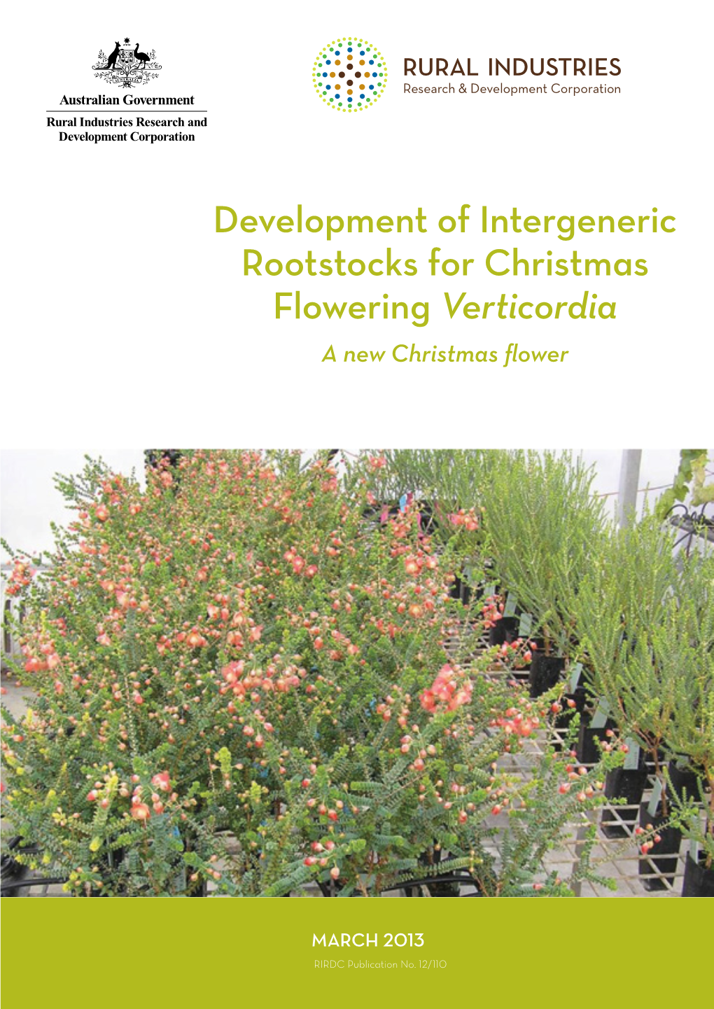 Development of Intergeneric Rootstocks for Christmas Flowering Verticordia a New Christmas Flower