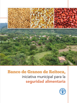 Banco De Granos De Reitoca. Iniciativa Municipal Para La Seguridad Alimentaria
