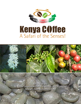 Kenya C Ffee a Safari of the Senses!