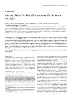 Role of Perineuronal Nets in Neural Plasticity
