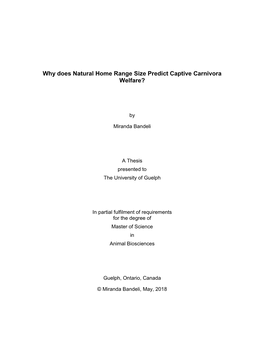 Why Does Natural Home Range Size Predict Captive Carnivora Welfare?