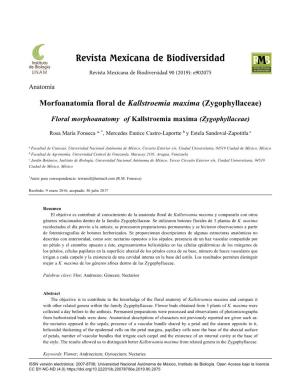Morfoanatomía Floral De Kallstroemia Maxima (Zygophyllaceae)