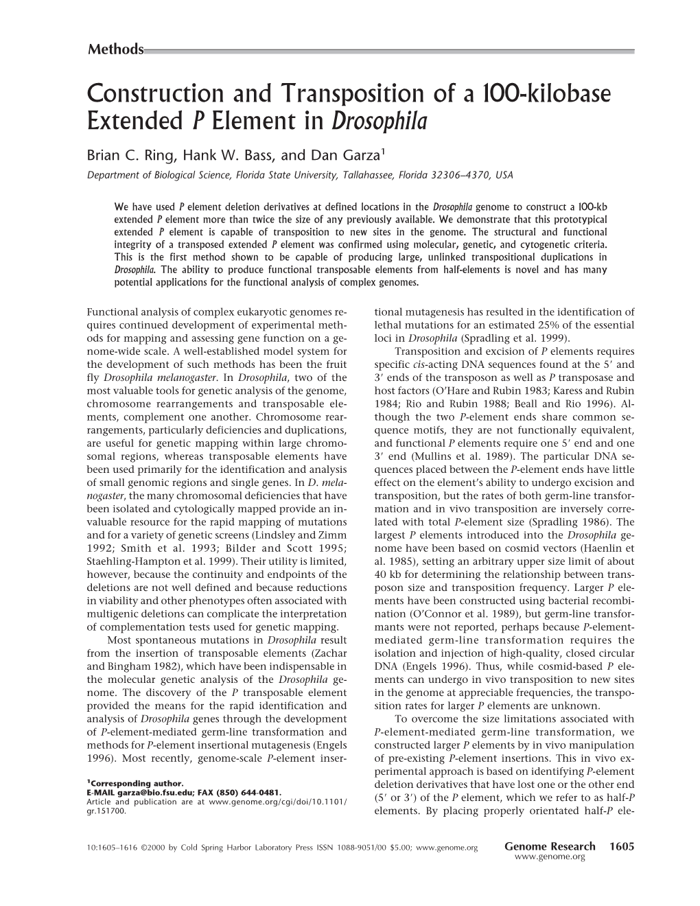 Construction and Transposition of a 100-Kilobase Extended P Element in Drosophila