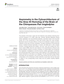 Asymmetry in the Cytoarchitecture of the Area 44 Homolog of the Brain of the Chimpanzee Pan Troglodytes