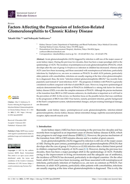 Factors Affecting the Progression of Infection-Related Glomerulonephritis to Chronic Kidney Disease