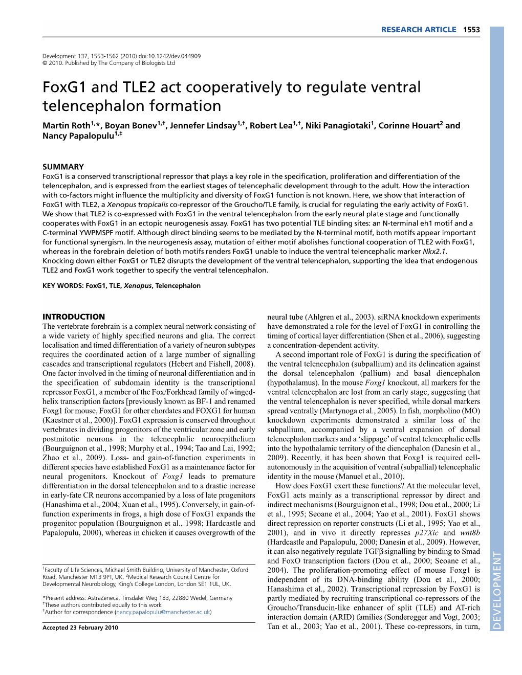 Foxg1 and TLE2 Act Cooperatively to Regulate Ventral Telencephalon