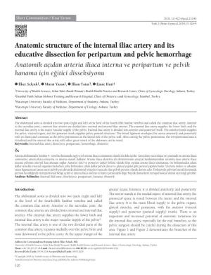 Anatomic Structure of the Internal Iliac Artery and Its