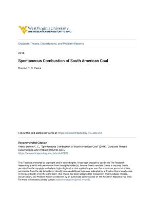 Spontaneous Combustion of South American Coal