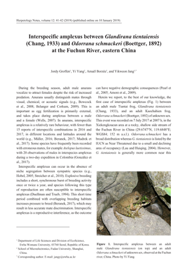 Interspecific Amplexus Between Glandirana Tientaiensis (Chang, 1933) and Odorrana Schmackeri (Boettger, 1892) at the Fuchun River, Eastern China