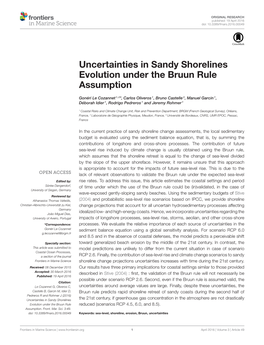 Uncertainties in Sandy Shorelines Evolution Under the Bruun Rule Assumption