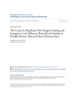 How Region Scaling and Energetic Costs Influence Brain Size
