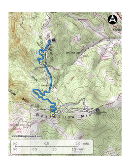 Bearwallow Mountain/Blue Ridge Pastures Hike