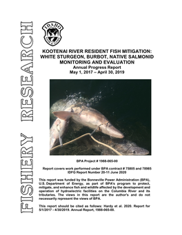 KOOTENAI RIVER RESIDENT FISH MITIGATION: WHITE STURGEON, BURBOT, NATIVE SALMONID MONITORING and EVALUATION Annual Progress Report May 1, 2017 – April 30, 2019