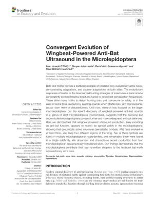 Convergent Evolution of Wingbeat-Powered Anti-Bat Ultrasound in the Microlepidoptera