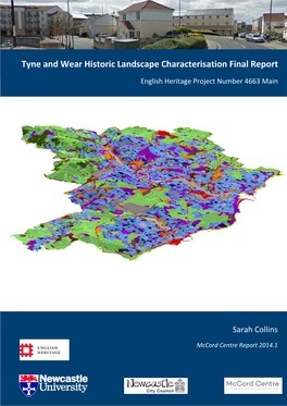 Tyne and Wear Historic Landscape Characterisation Final Report