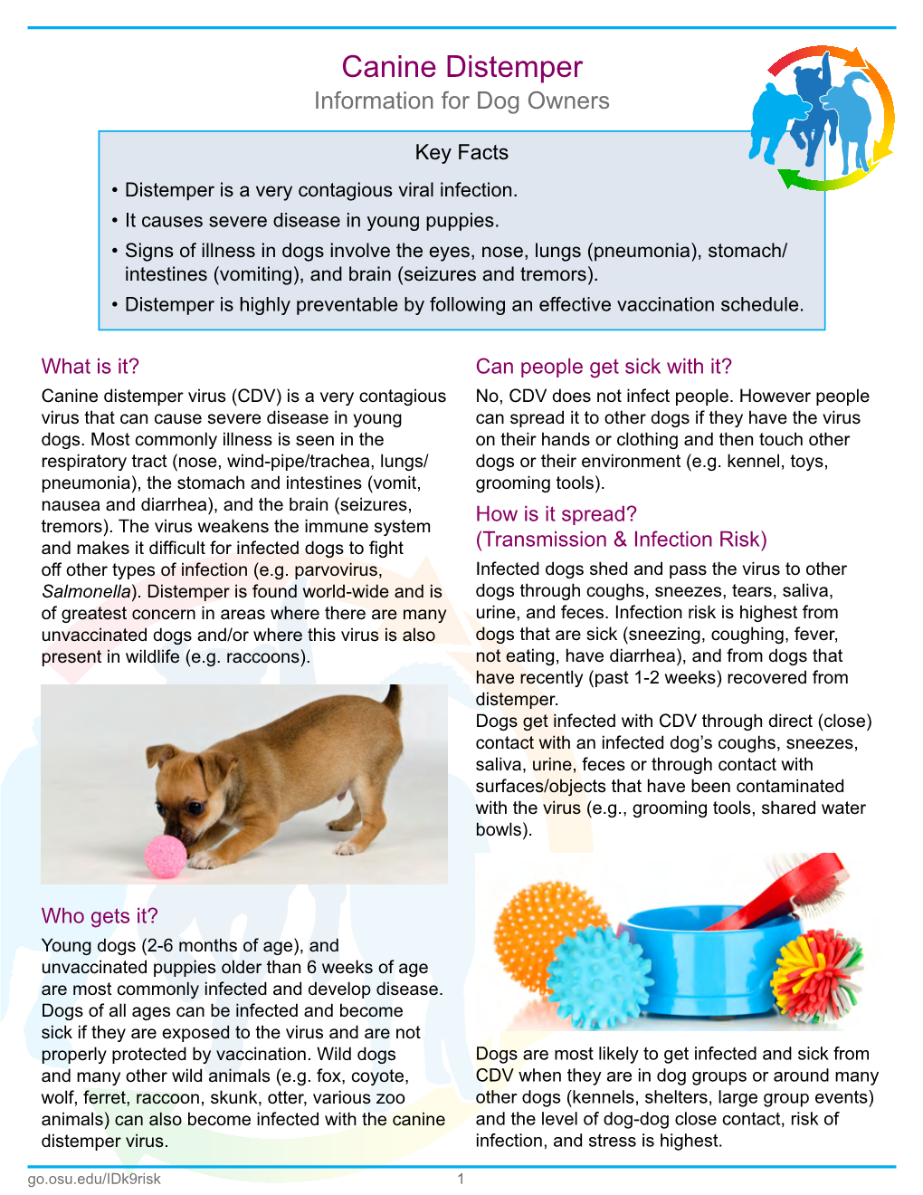 Canine Distemper Information for Dog Owners