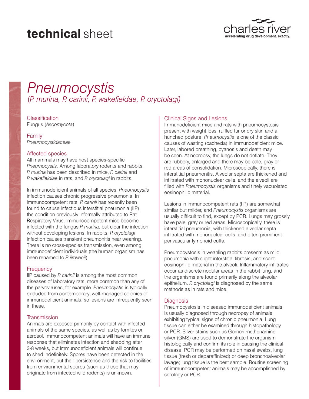 Pneumocystis (P