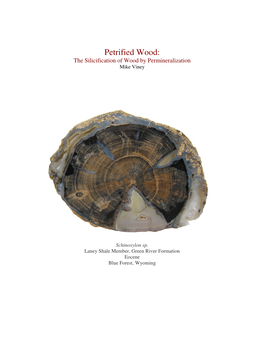 Petrified Wood : the Silicification Of