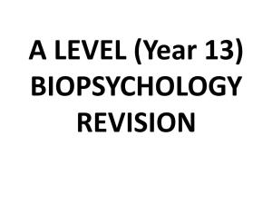 Biopsychology Revision Biopsychology