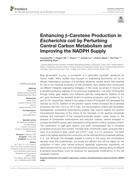 Enhancing Β-Carotene Production in Escherichia Coli by Perturbing Central Carbon Metabolism and Improving the NADPH Supply