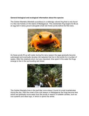 Golden Mantella ( Mantella Aurantiaca ) Is a Strikingly Colored Frog That Is Only Found in a Few Rain Forests on the Island of Madagascar