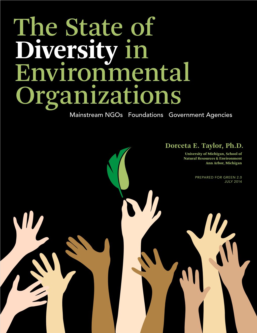The State of Diversity in Environmental Organizations Mainstream Ngos Foundations Government Agencies