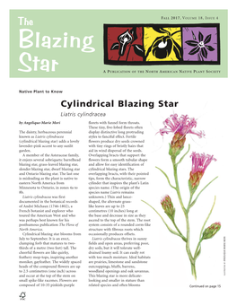 Cylindrical Blazing Star Liatris Cylindracea by Angelique-Marie Mori Florets with Funnel Form Throats