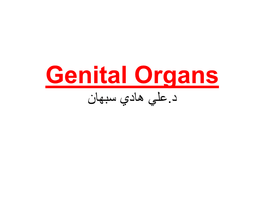 Genital Organs د.علي هادي سبهان Testes and Epididymis Vas Deferens and Seminal Vesicles Vas Deferens = )18 In