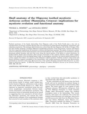 Skull Anatomy of the Oligocene Toothed Mysticete Aetioceus Weltoni (Mammalia; Cetacea): Implications for Mysticete Evolution and Functional Anatomy