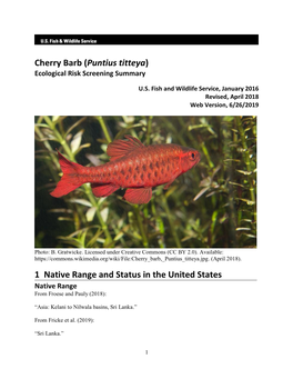 Puntius Titteya (Cherry Barb) Ecological Risk Screening Summary