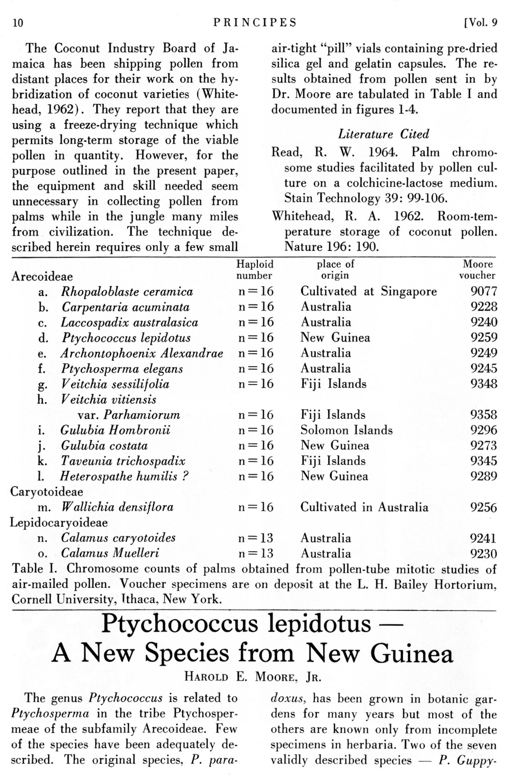 Ptychococcus Lepidotus N=16 New Guinea 9259 E