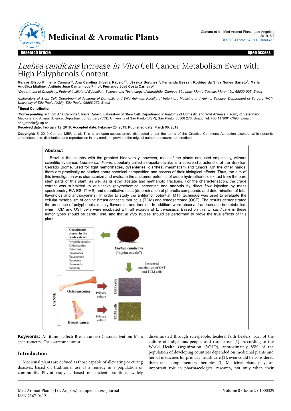 Luehea Candicans Increase in Vitro Cell Cancer Metabolism Even With