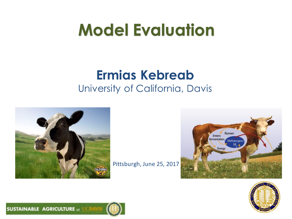 Model Evaluation