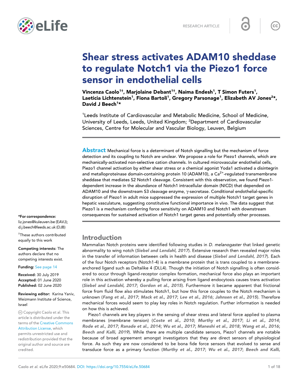 Shear Stress Activates ADAM10 Sheddase to Regulate Notch1 Via