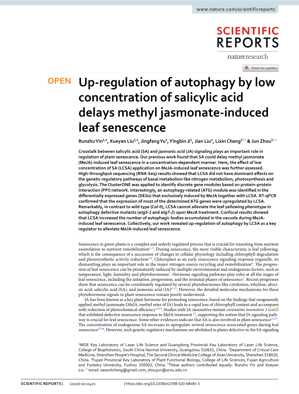 Up-Regulation of Autophagy by Low Concentration of Salicylic Acid
