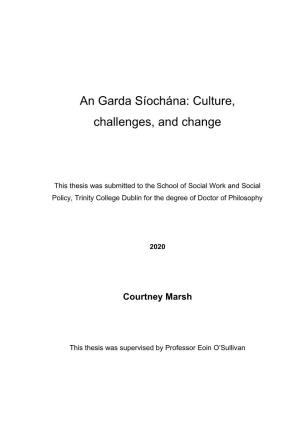 An Garda Síochána: Culture, Challenges, and Change