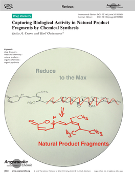 Capturing Biological Activity in Natural Product Fragments by Chemical Synthesis Erika A