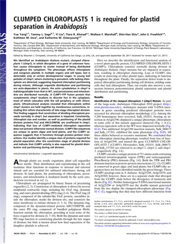 CLUMPED CHLOROPLASTS 1 Is Required for Plastid Separation in Arabidopsis