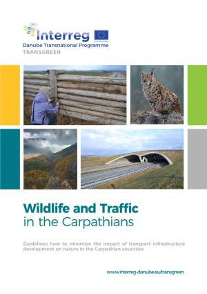 Guidelines for Wildlife and Traffic in the Carpathians