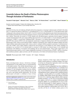 Ceramide Induces the Death of Retina Photoreceptors Through Activation of Parthanatos