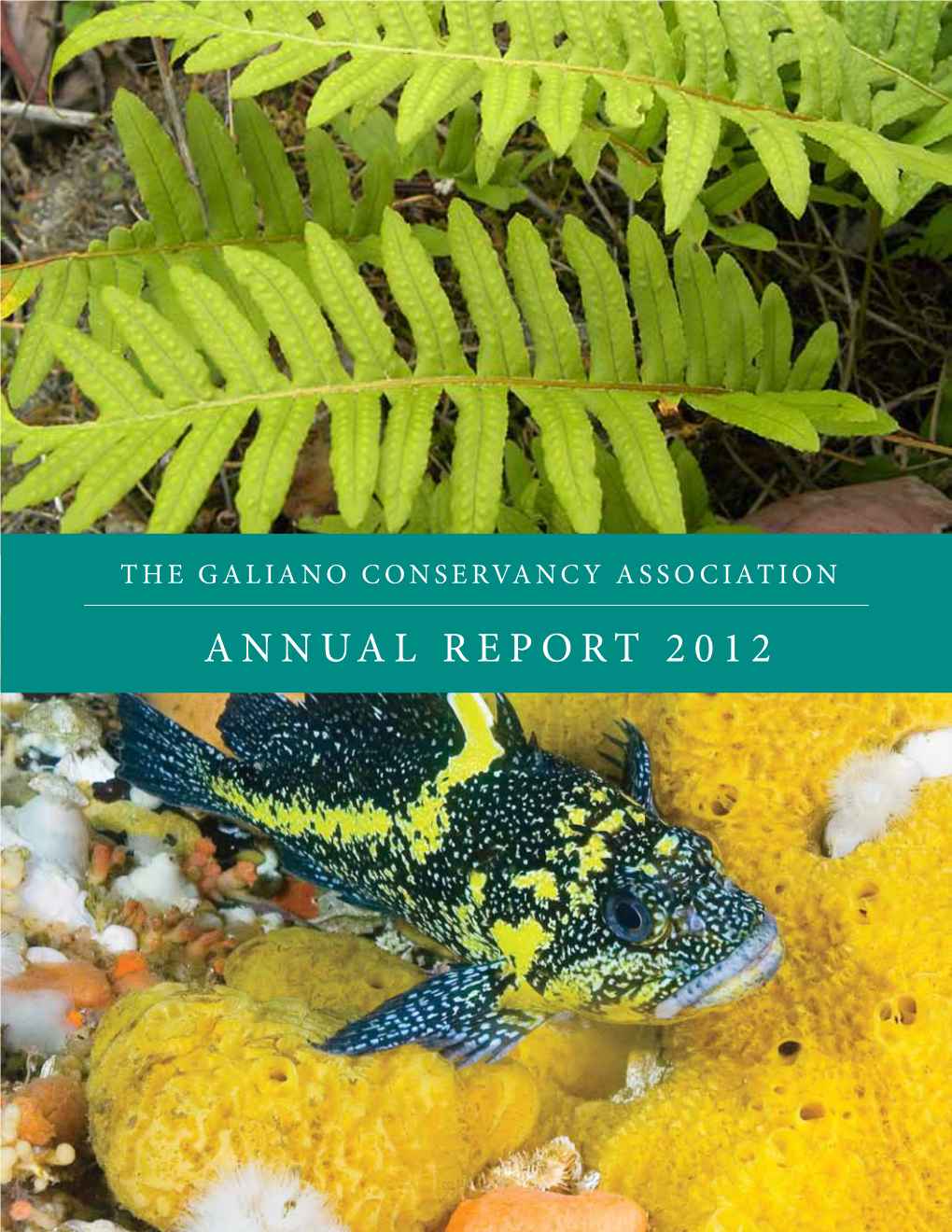 Annual Report 2012