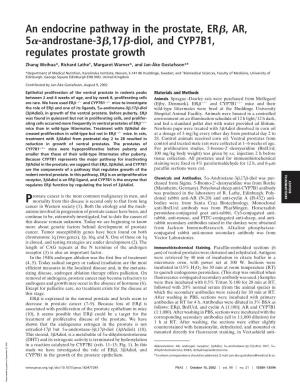Androstane-3␤,17␤-Diol, and CYP7B1, Regulates Prostate Growth